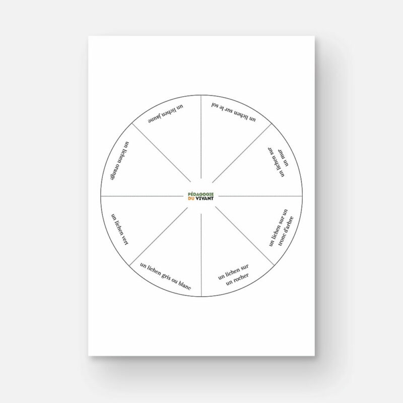 Roue avec 8 types de lichens différents (texte).