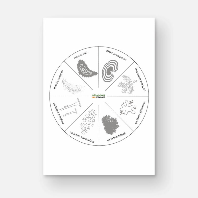 Roue avec 8 types de lichens différents (caractéristiques physiques dessinées)