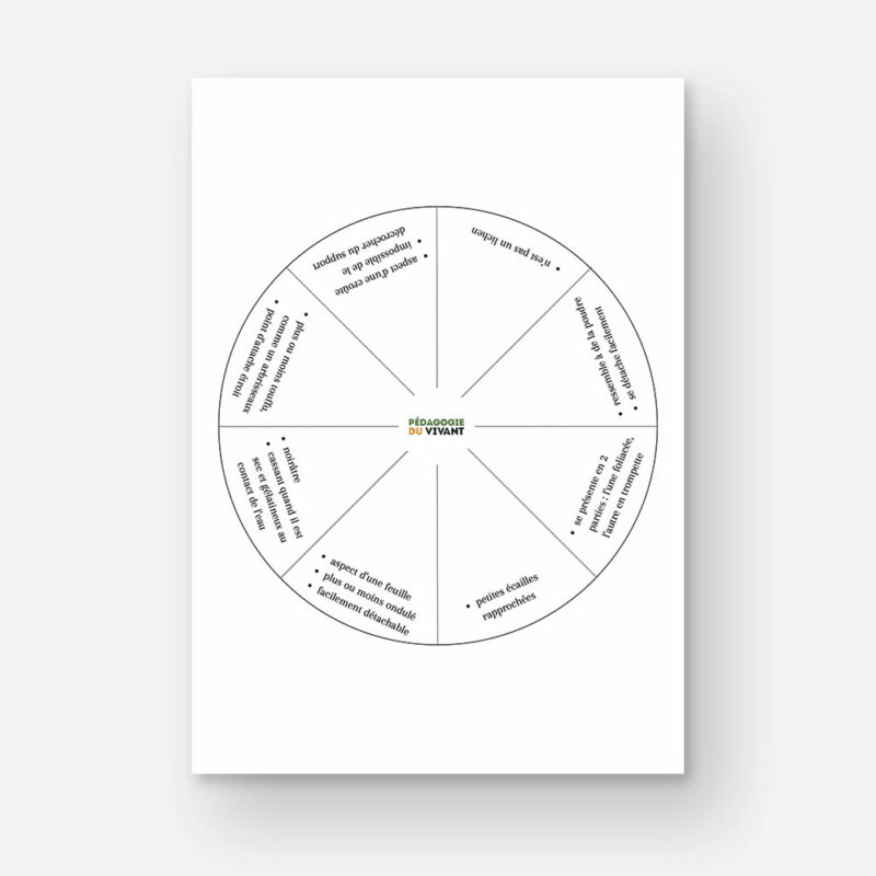 Roue avec 8 types de lichens différents. (caractéristiques physiques en écrites)