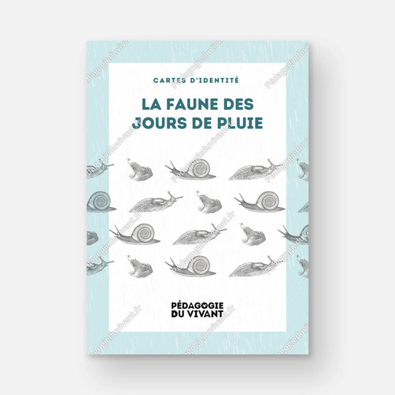 Couverture du fichier la faune visible les jours de pluie.