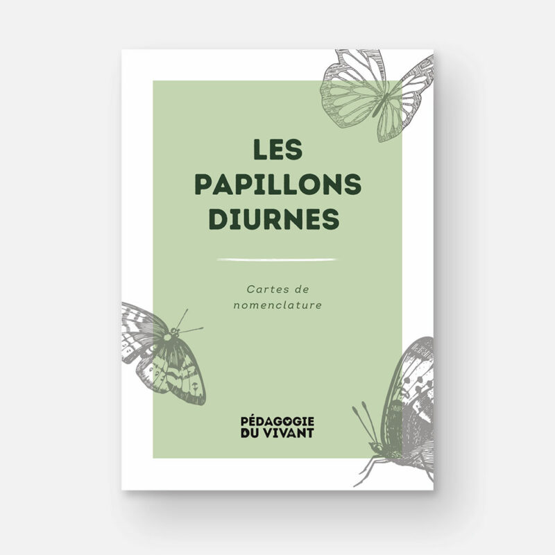 Couverture du fichier les papillons diurnes visibles en France.