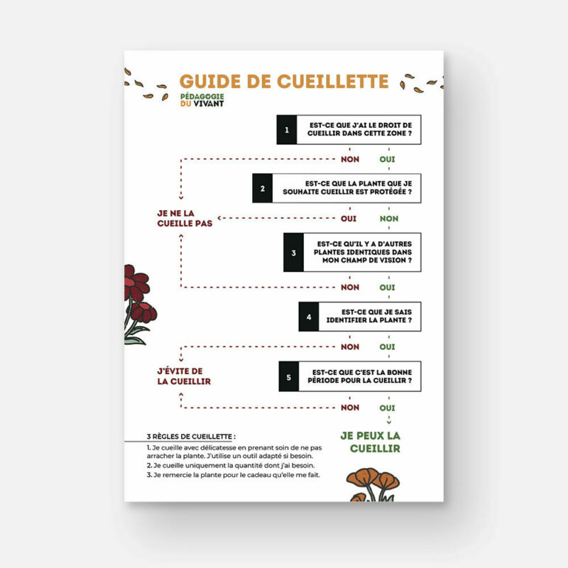 Guide de cueillette par étapes