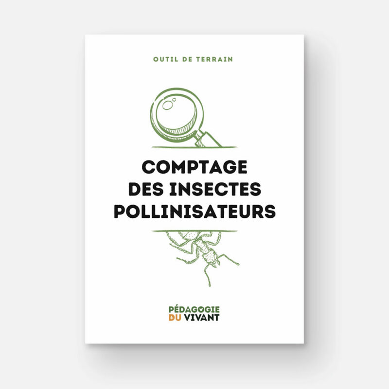 Couverture du fichier : comptage des insectes pollinisateurs