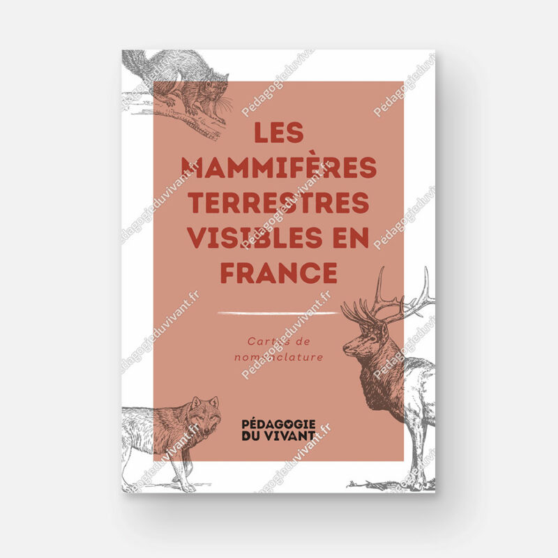 Couverture du fichier les mammifères terrestres visibles en France.