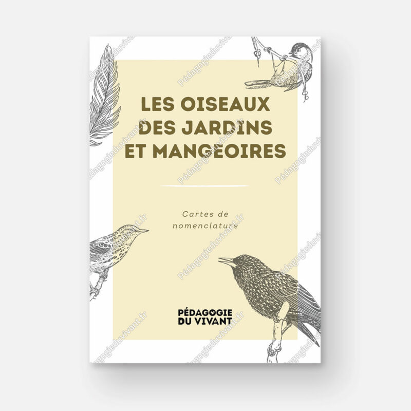 Couverture du fichier les oiseaux des jardins et mangeoires.