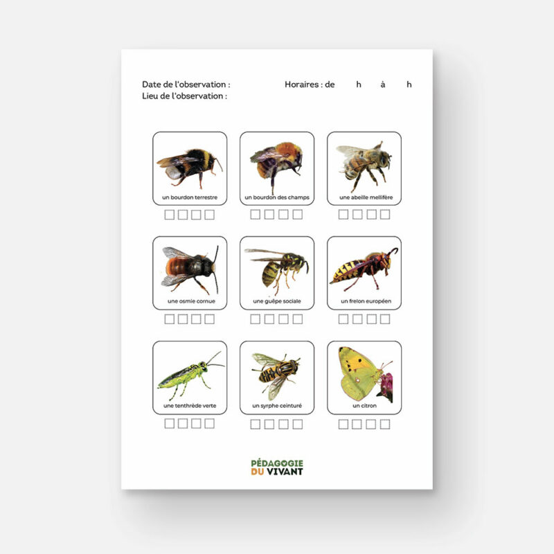 Page avec 9 insectes pollinisateurs et des cases à cocher à chaque observations.