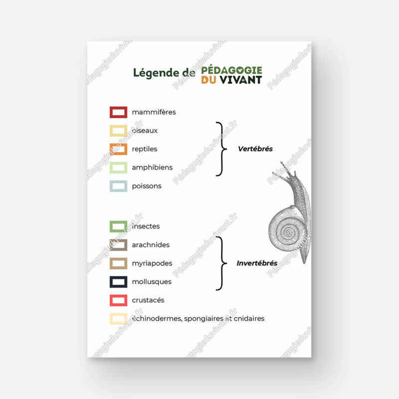 La légende que l'on trouve dans les fichiers de Pédagogie du Vivant, divisée en 2 parties : les vertébrés et les invertébrés.