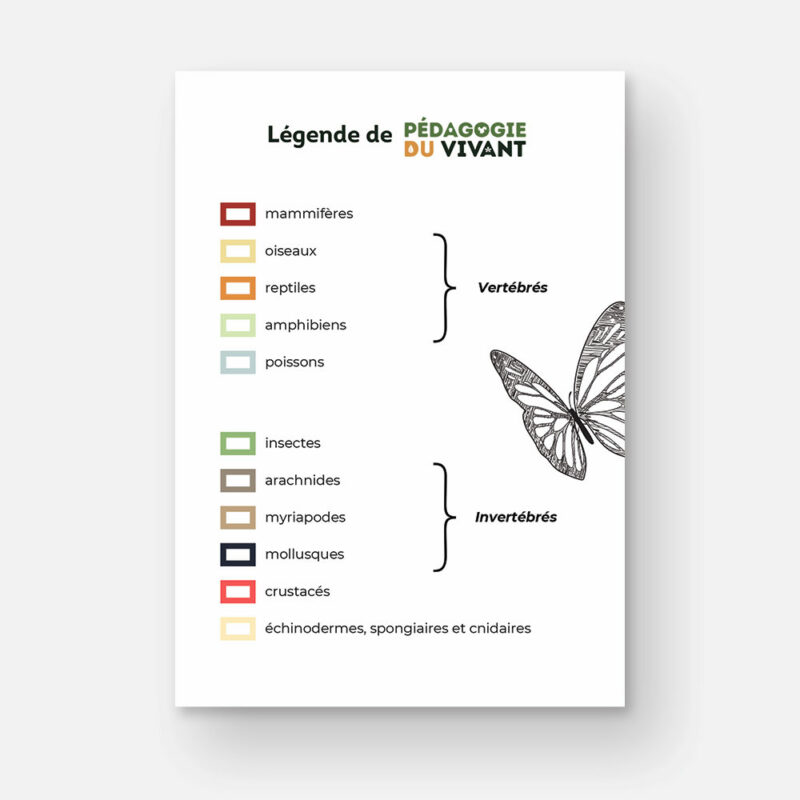 La légende que l'on trouve dans les fichiers de Pédagogie du Vivant, divisée en 2 parties : les vertébrés et les invertébrés.