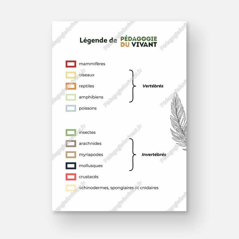 La légende que l'on trouve dans les fichiers de Pédagogie du Vivant, divisée en 2 parties : les vertébrés et les invertébrés.