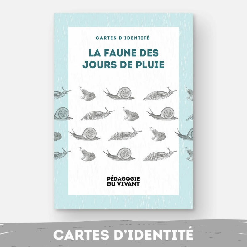 Couverture du fichier la faune visible les jours de pluie.