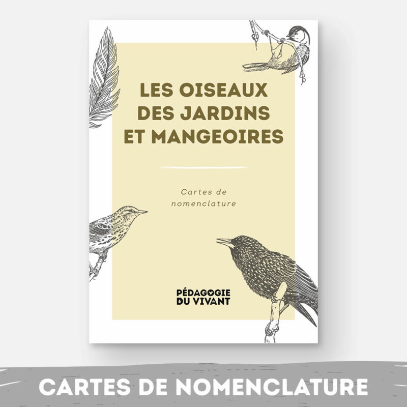 Couverture du fichier les oiseaux des jardins et mangeoires.