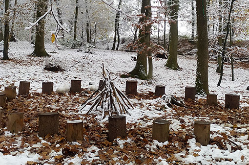 #15 « École publique et classe en forêt : retour sur cinq années de pratique » – avec Catherine, professeure des écoles